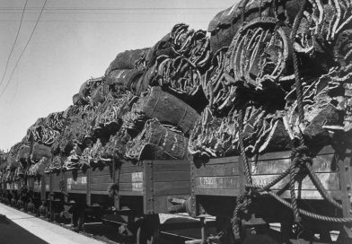 Epopeia da Cortiça no Barreiro: Do Caminho-de-Ferro à Braamcamp