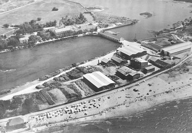 Cronologia  Histórica da Quinta do Braamcamp